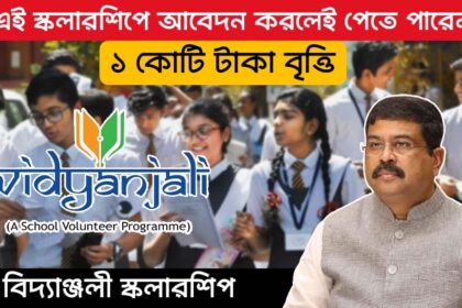 Vidyanjali Scholarship