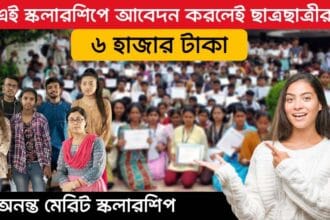 Anant Merit Scholarship